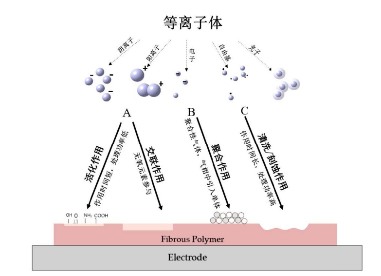 午夜福利试看体处理对碳纤维表面改性作用分类
