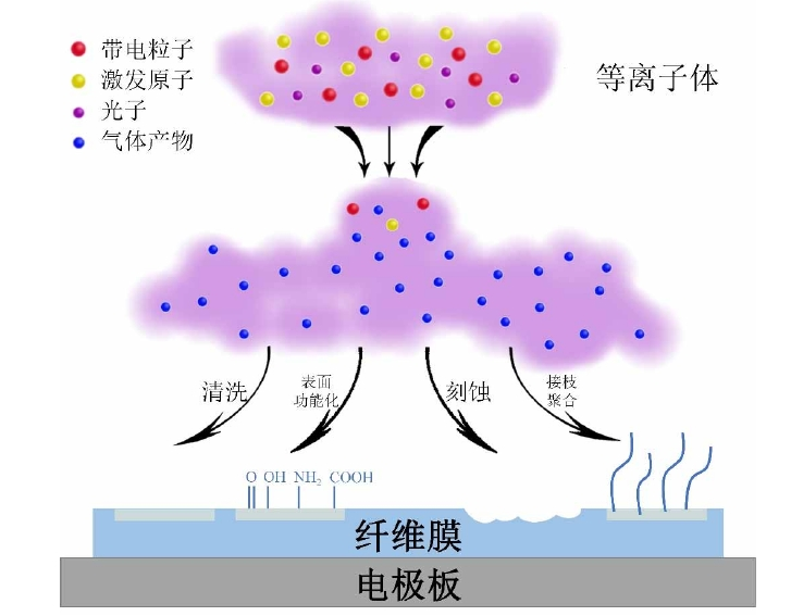 午夜福利试看体改性聚丙烯纤维膜作用机制示意图