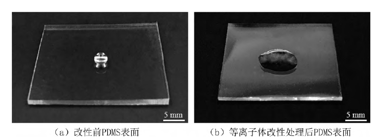 PDMS基片氧午夜福利试看处理前后水滴角对比