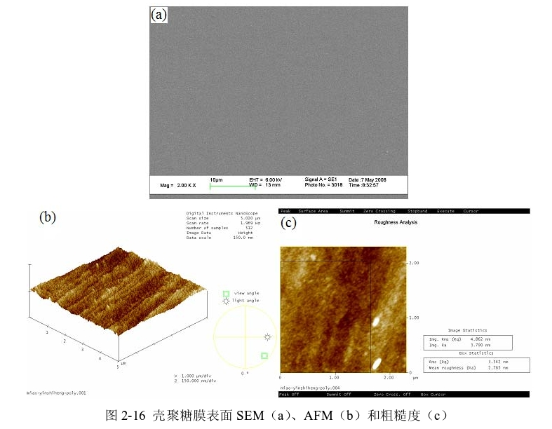 图3-1 壳聚糖膜表面SEM(a)、AFM(b)和粗糙度(c) 