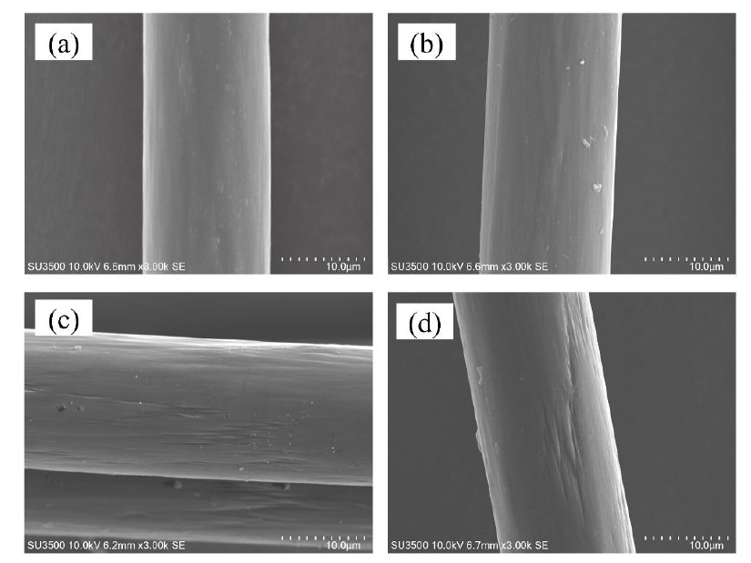    图1  不同处理功率下的SEM图像 (a) 未处理 (b) 100W (c) 200W (d) 300W 