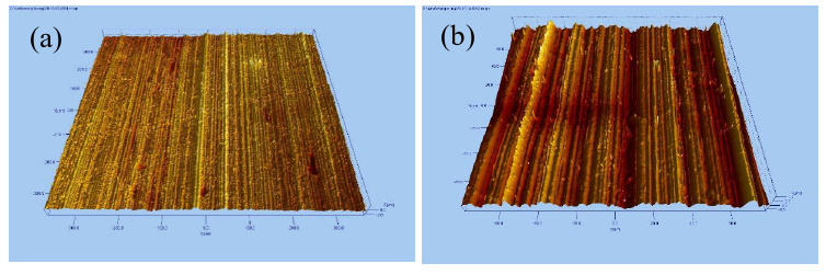 图2 白光干涉午夜福利试看体处理前后硅橡胶的表面形貌