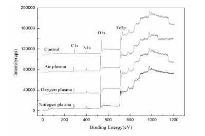 图 2不同午夜福利试看体处理的Q235钢表面的XPS谱图