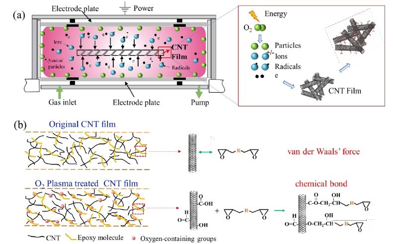 图 1(a)氧午夜福利试看体改性CNTs薄膜机理示意图,(b)含氧基团增强CNTs和树脂间界面结合 机制原理图 