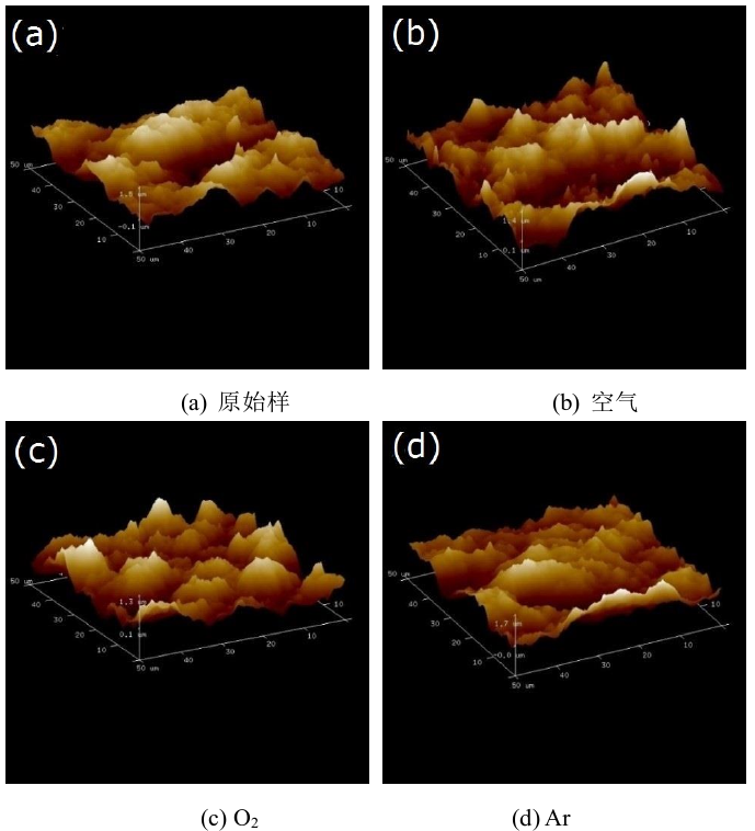图2  冷午夜福利试看处理前后氟橡胶表面三维形貌 