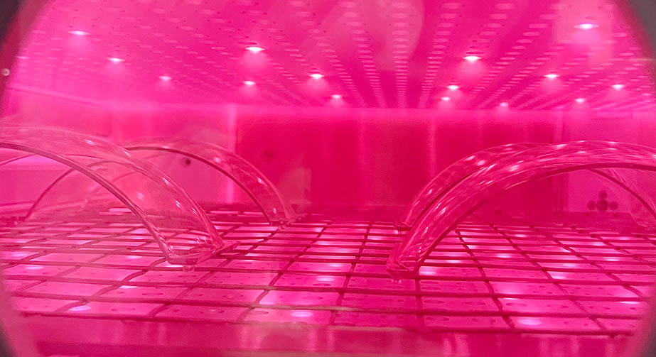 低温午夜福利试看体在高分子材料表面处理中的应用